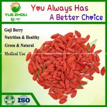 New Crop Goji Berry Organic Goji Berry From Ningxia with Price
