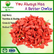 High Quality  Ningxia   Goji   Berry  for Sale From China