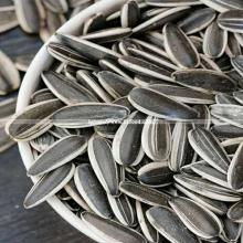 Flower Seeds of 601