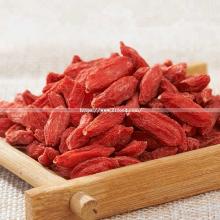 Special Product Goji Berry