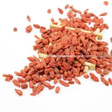 Import Organic Goji Berry