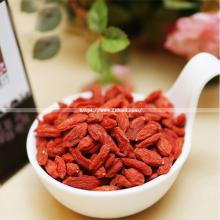 Hot Sale Wolfberry Medlar Dried Organic Goji Berry