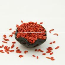 Chinese Wolfberry Medlar Top Quality Goji Berries