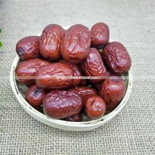 Best Price Super Sweet Date Jujube Xinjiang Hetian Red Date Sweet Jujube