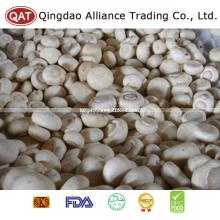 Export Standard Frozen Whole Champignon Mushroom