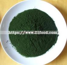 Chlorella Powder (General) by Fermentation