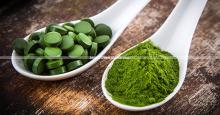 Green Algae Powder Chlorella Powder of Qingdao Kehai