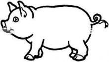 L-Tryptophan Fulfill The Requirement of Sows