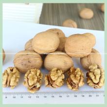 Walnut Dry Walnut Kernel Snack Food Walnut Agro Food