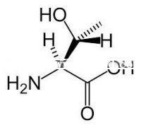 L Threonine Min 98.5% for Animal Feed China