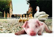 Monocalcium Phosphate (MCP) , Monohydrate Pig Chicken Feed