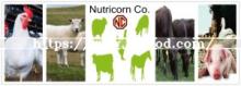  Lysine   Feed  Grade Manufacturer in China