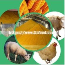 Animal Feed Fish Meal 65% Protein