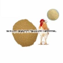 Animal Feed Activity 67-48-1 Choline Chloride 50% 60% 70%