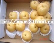 New Crop Fresh Chinese HACCP Fengshui Pear