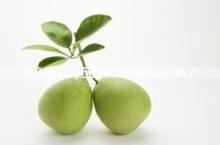 Wholesale Fresh Pomelo for Exporting