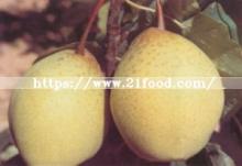 Chinese High Quality Ya Pear
