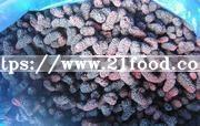 Good Quality IQF Frozen Mulberry for Export