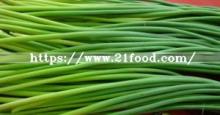 New Crop Frozen Vegetabel Frozen Garlic Sprout