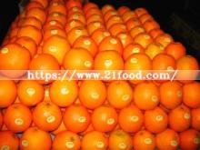 China Supplier Fresh Mandarin Orange