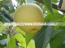 Competitive/Top /Freshgoden Pear