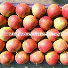 Chinese Fresh Red Apple