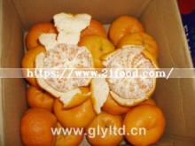 New Crop Chinese Fresh Mandarin Orange