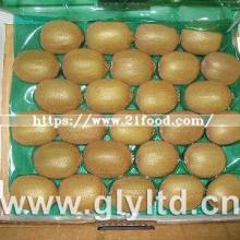 Exported Quality Chinese Fresh Green Kiwi Fruit