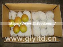 Fresh New Crop Fragrant Pear