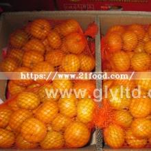 New Crop Chinese Fresh and Good Quality Mandarin Orange