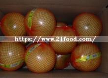 EU Quality New Crop Fresh Honey Pomelo