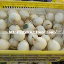 Export Standard Fresh Sweet Ya Pear