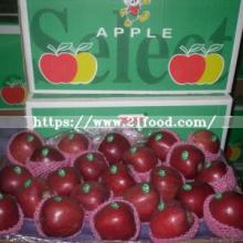 High   Quality   Dark  Red Apple