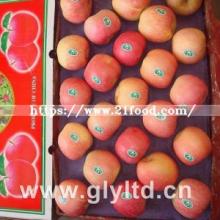 Super Fresh Sweet Red Fuji Apple