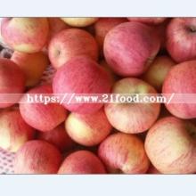 Export Standard Quality  Fresh   Qinguan   Apple 