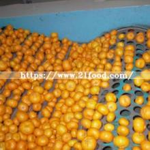 Fresh Good Qulality Baby Mandarin Orange