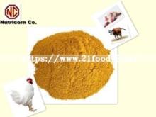 Corn Gluten Meal 60% Protein Feed Grade