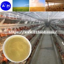 Poultry Feed Addtive Chromium Amino Acid Chelate