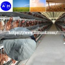  Poultry   Feed  (Duck, Cattle,  Chicken , Dog, Fish, Horse, Pig)