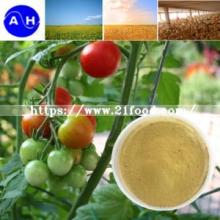 New Products Cheap Price Low Chloridion 60 % Amino Acid