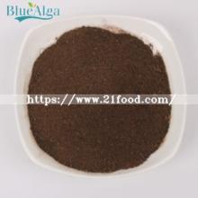 Animal Feed Seaweed Powder