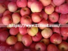 Fresh Apple, FUJI Apple From China