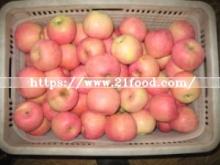 Fresh Sweet FUJI Apple From China