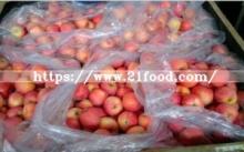 Red  FUJI   Apple   From   China 