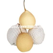 New Crop Chinese Fresh Ya Pear