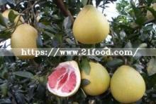 Exported Standard Quality Fresh Red Pulp Pomelo