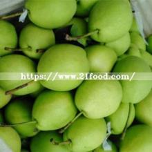 New Season Green Shandong Pear