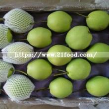Fresh Green Shandong Pear for India