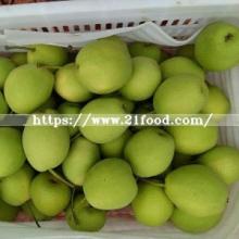  Chinese   Fresh   Green  Shandong Pear Export Quality