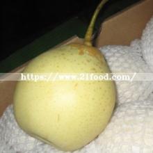 Fresh New Season Ya Pear From China
